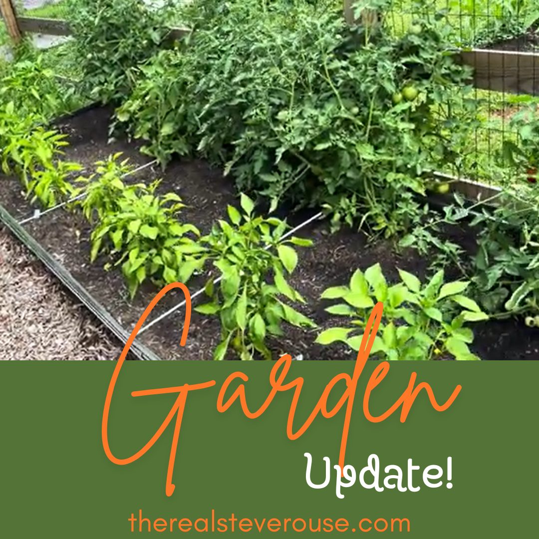 Garden Update